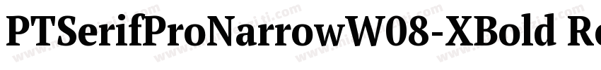 PTSerifProNarrowW08-XBold Regular字体转换
